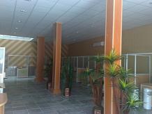 کف پوش دیوار پوش سقف کاذب چیدمان گستر سپاهان سقف